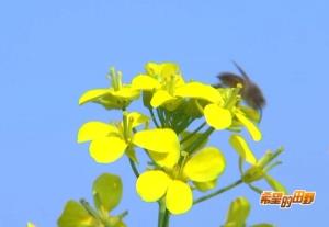 20160329