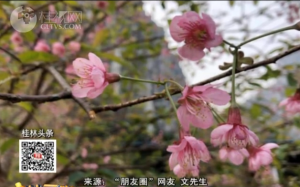 20180121