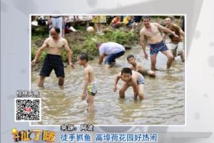 20180531