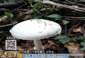 20180605