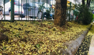 20181026