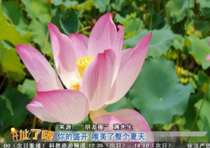 20190705