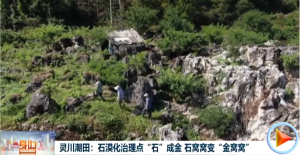 2025年10月22日