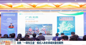 2025��12��19��