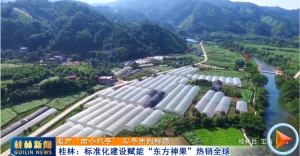 2025��12��20��