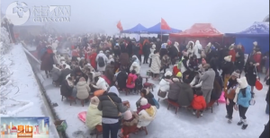 2026��01��24��