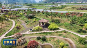 2026��01��24��