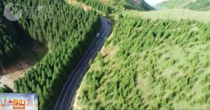 2026��01��27��