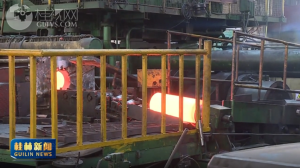 2026��02��08��