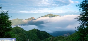 2026��02��09��