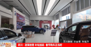 2026��02��21��