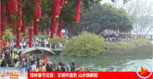 2026��02��24��