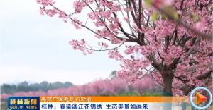 2026��03��08��