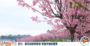 2026��03��08��