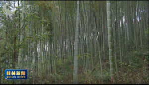 2026��03��21��