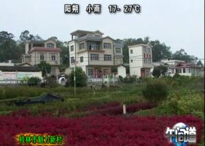 20130321
