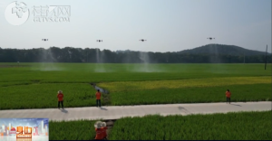 2026��01��14��