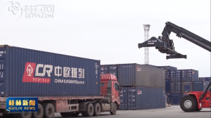 2026��01��31��