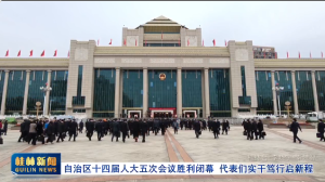 2026��02��06��