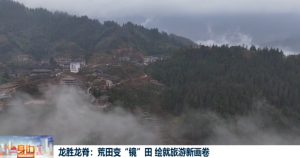 2026��02��13��