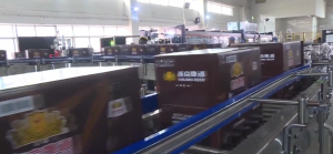 2026��03��06��