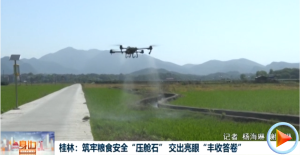 2026��03��20��