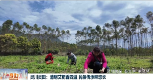 2026��04��04��