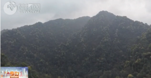 2026��04��10��