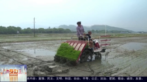 2026��04��11��