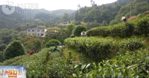 2026��04��14��