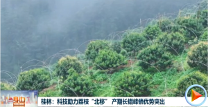 2026��04��25��